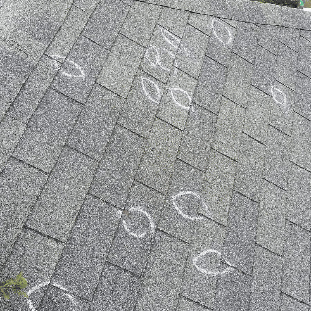 Roof Inspection Service Frogtown Roofing