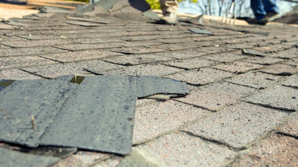 Storm Damaged Roof Shingles - Northwest Ohio Storm Damage Resource Center A Homeowner’s Guide - Frogtown Roofing Ohio