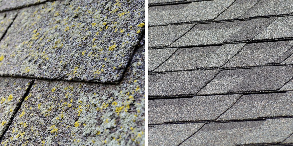 Algae Resistant Shingles Residential Roofing Frogtown Roofing Services